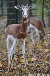 Tierpark Berlin