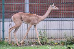 Tierpark Berlin