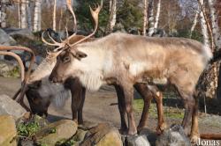 Erlebnis-Zoo Hannover