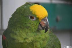 Vogelpark Schifferstadt