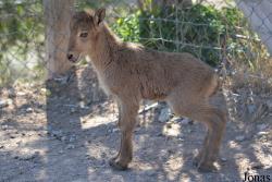 Terra Natura Murcia