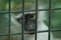 Chengdu Zoo