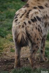 Bioparc Valencia