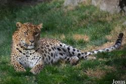 Bioparc Valencia