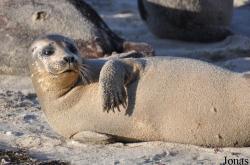La Jolla