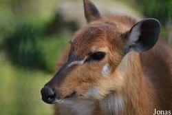 Zoo Bratislava