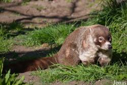 Zoo Palić