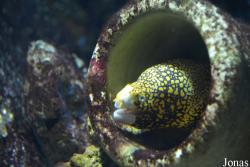 Aquarium de St-Jean-du-Gard