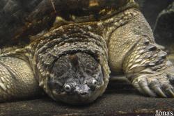 Zoo Bojnice
