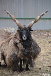 Zoo Spišská Nová Ves