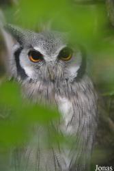 Vogelpark Olching