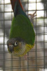 Vogelpark Olching