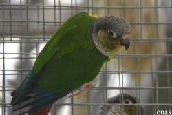 Vogelpark Olching