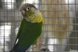 Vogelpark Olching