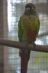Vogelpark Olching