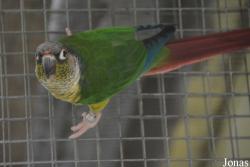 Vogelpark Olching