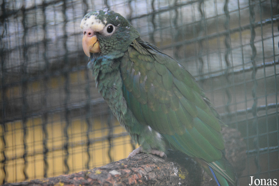 Vogelpark Olching