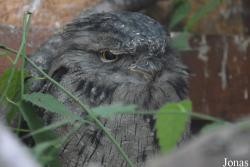 Vogelpark Olching