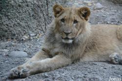 Zoo Basel