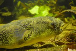 Zoo Basel