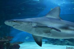 Tropicarium Budapest