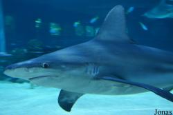 Tropicarium Budapest