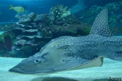 Tropicarium Budapest
