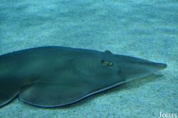 Tropicarium Budapest