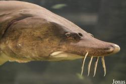 Tisza-tavi Ökocentrum