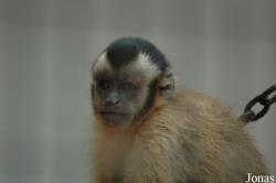 Shanghai Zoo