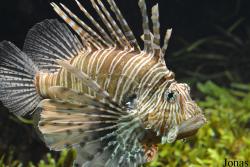 Dierenpark Emmen