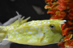 Hangzhou Underwater World