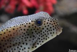 Hangzhou Underwater World