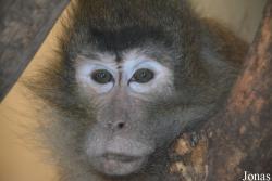 Hsinchu Zoo