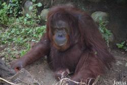 Hsinchu Zoo