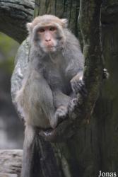 Taipei Zoo