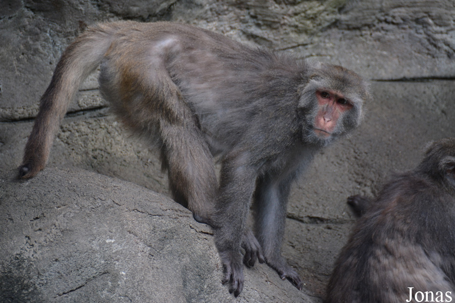 Taipei Zoo