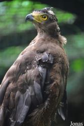 Taipei Zoo