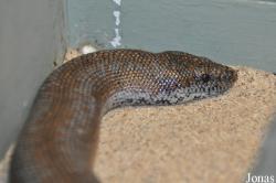 California Living Museum (CALM)