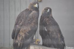 California Living Museum (CALM)