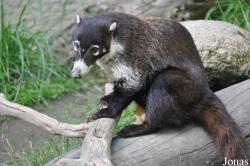 Fresno Chaffee Zoo