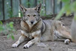 Fresno Chaffee Zoo