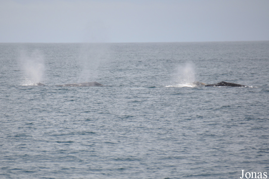 Monterey Bay