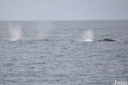 Monterey Bay