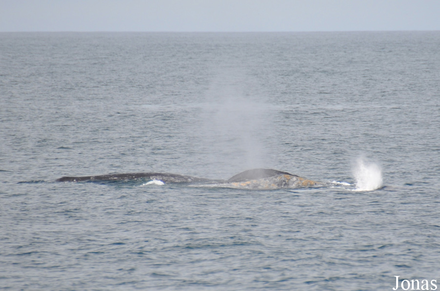Monterey Bay