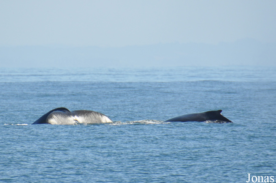 Monterey Bay