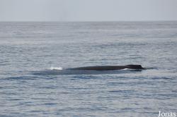 Monterey Bay
