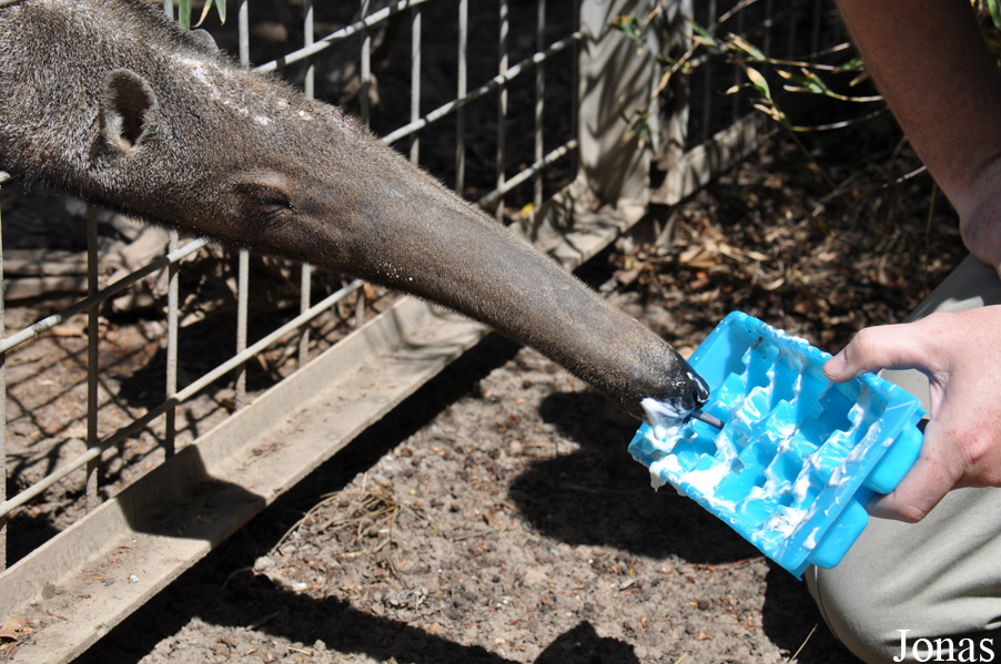 Santa Ana Zoo