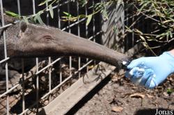 Santa Ana Zoo