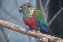 Vogelpark De Lorkeershoeve